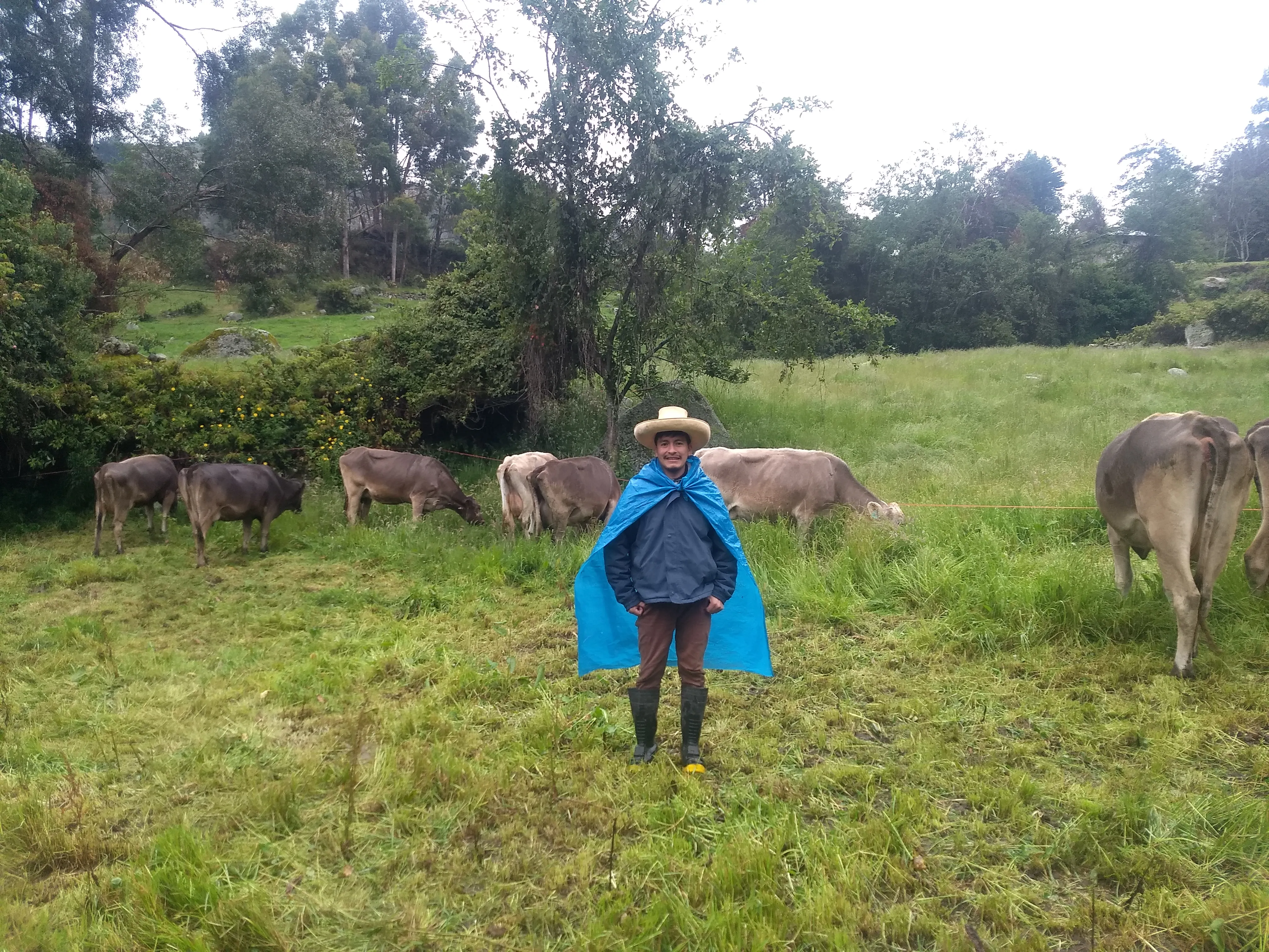 Inversión con Propósito